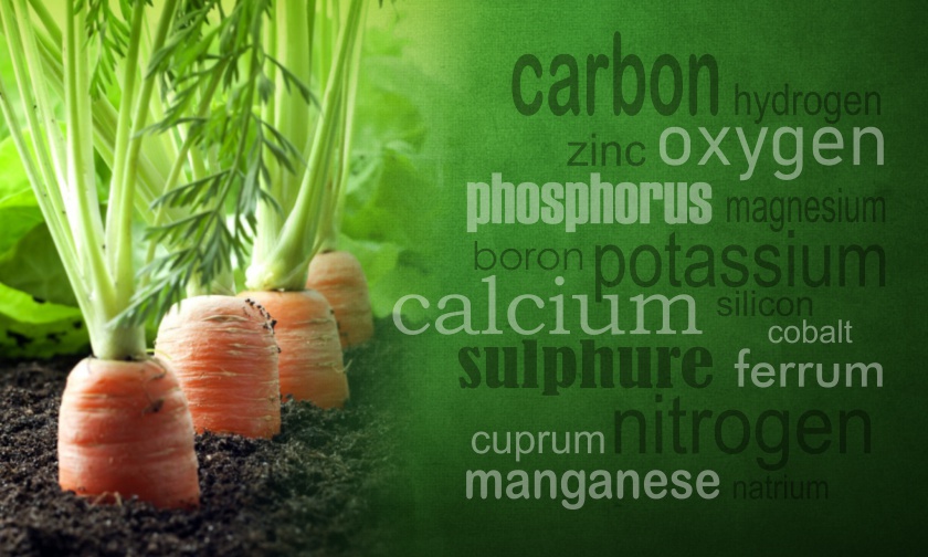 Penggolongan Unsur-Unsur Hara dan Pupuk