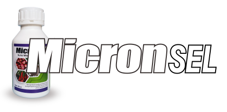 MICRON SEL